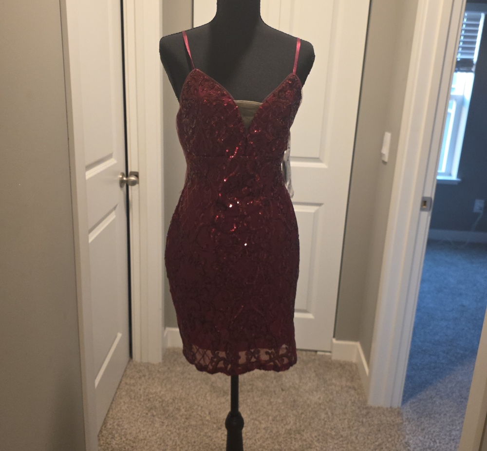 Sleeveless Burgundy Sequin Lace Mini Dress